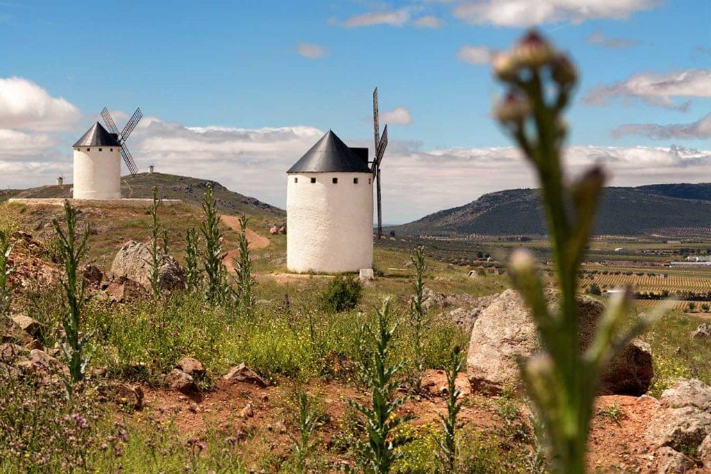 molinos